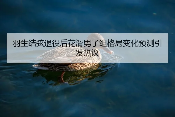 羽生结弦退役后花滑男子组格局变化预测引发热议